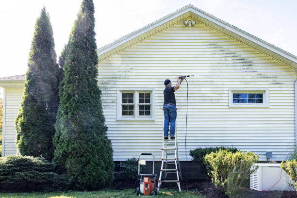 Professional Pressure Washing in Bellair Meadowbrook Terrace, FL